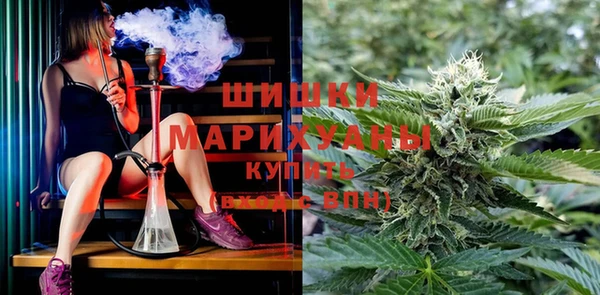 прущие крисы Балахна