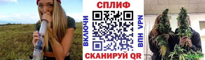 Бошки марихуана индика  закладка  Давлеканово 